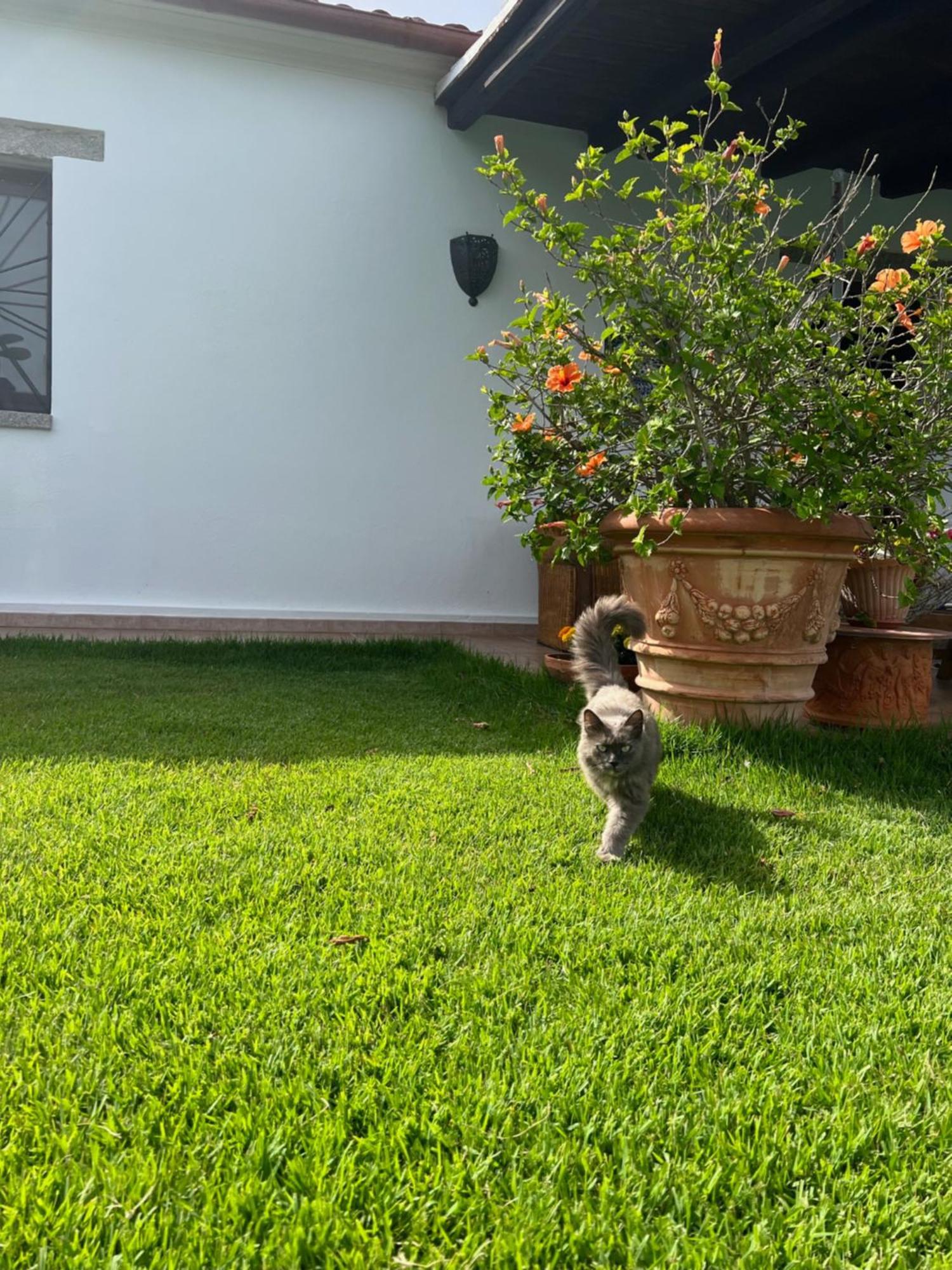 Villa Peditoltu Olbia Zewnętrze zdjęcie