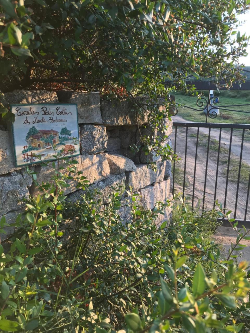 Villa Peditoltu Olbia Zewnętrze zdjęcie